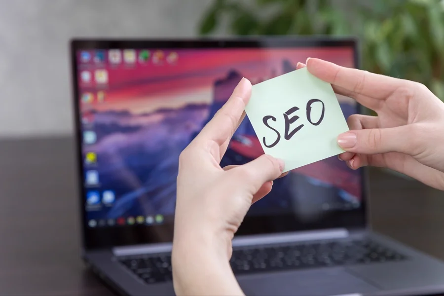 Ce servicii de optimizare SEO oferă Danco Vision?